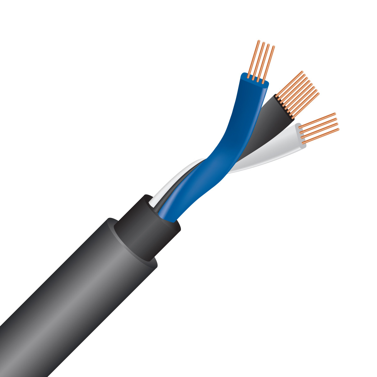 Auditorium Wireworld Cable Equinox 10 Interconnect RCA 208848 - 4