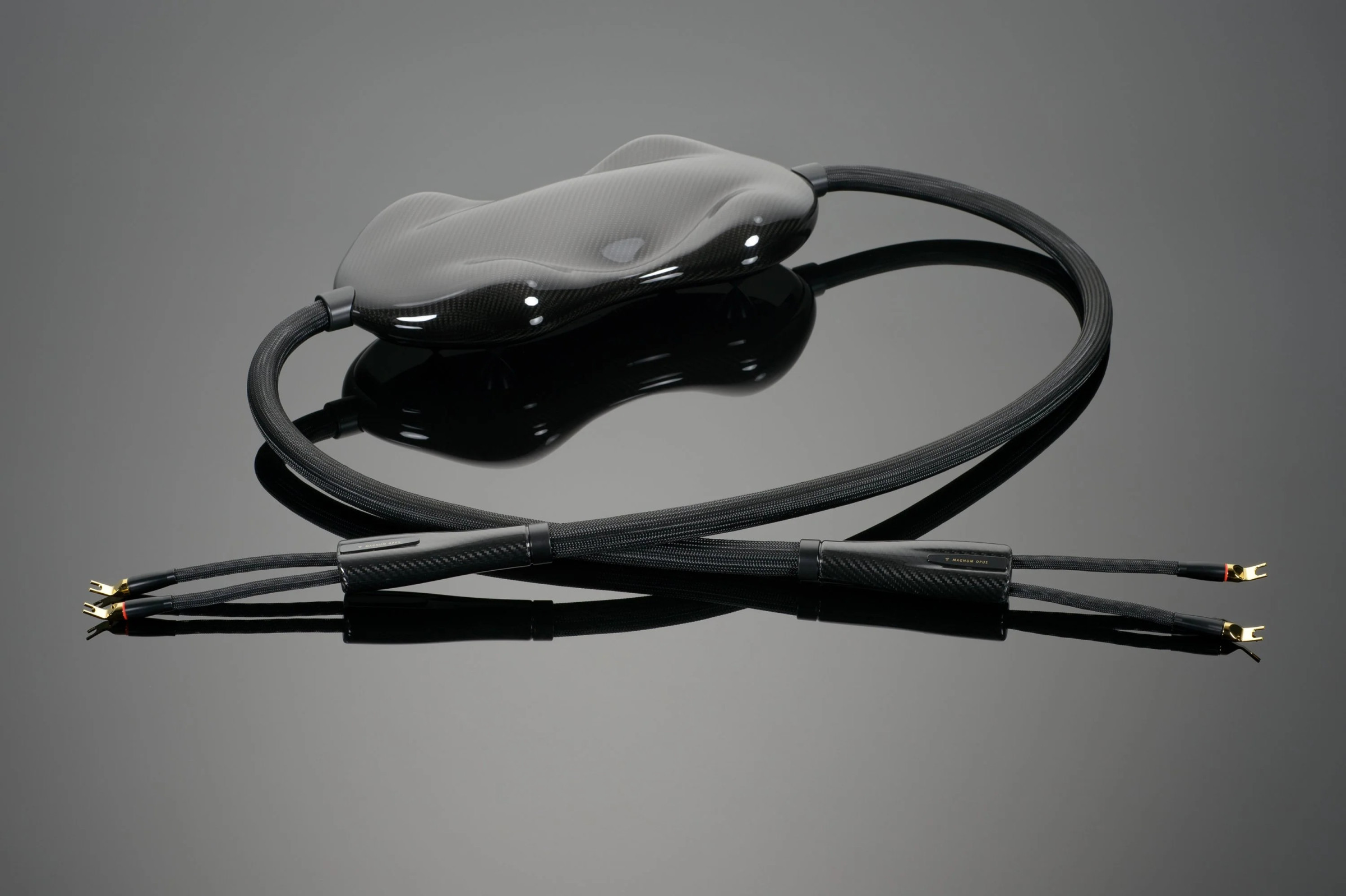 Auditorium Transparent Cable MAGNUM OPUS Lautsprecherkabel Single Wire 280889 - 1