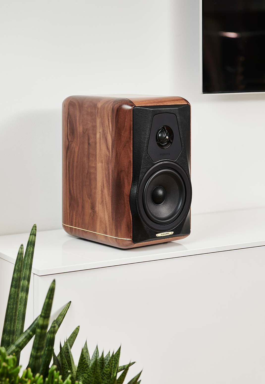 Auditorium Sonus Faber Minima Amator II Kompaktlautsprecher 201133 - 6