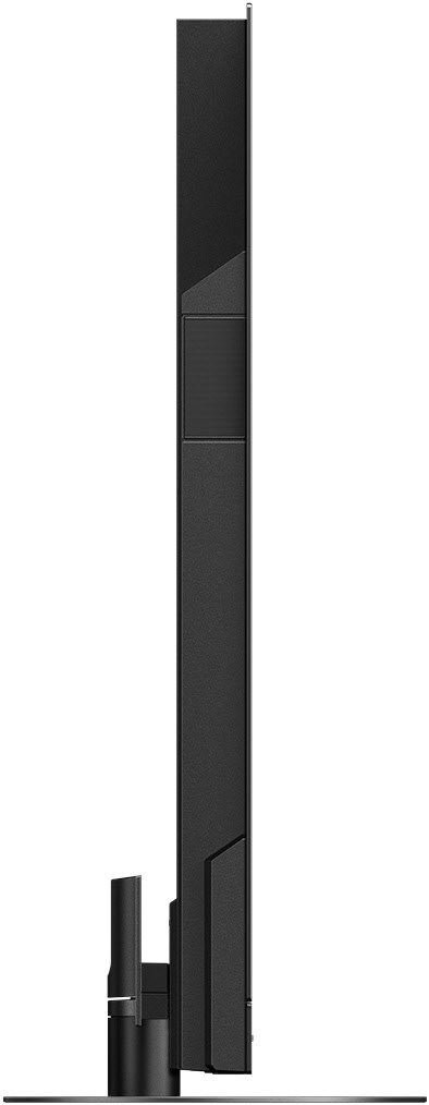 Auditorium Panasonic TX-65MZW2004 OLED-TV 2023 201901 - 8