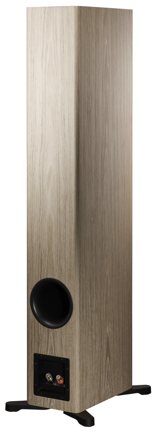 Auditorium Dynaudio Evoke 50  285467 - 5