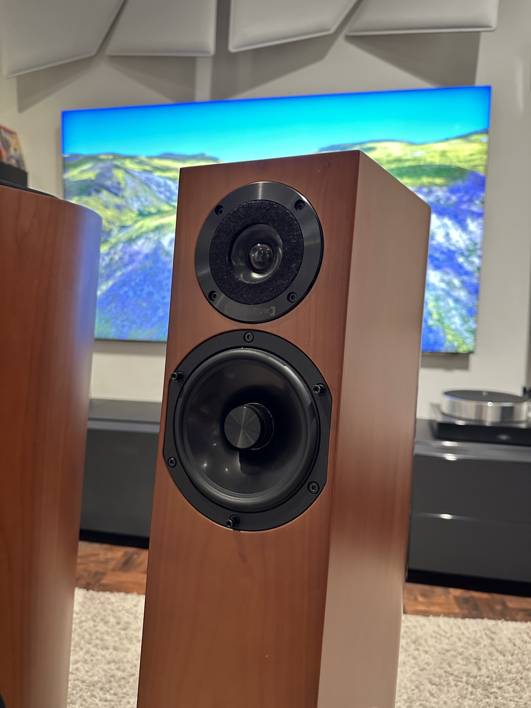 Auditorium audio physic Tempo Plus Standlautsprecher 214072 - 2