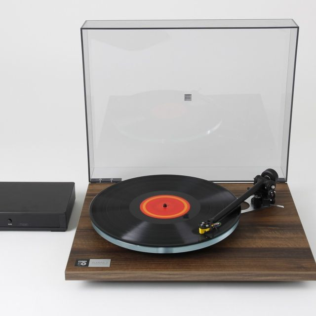 Auditorium Rega Planar 3 50th Anniversary Edition Walnuss 299763 - 2