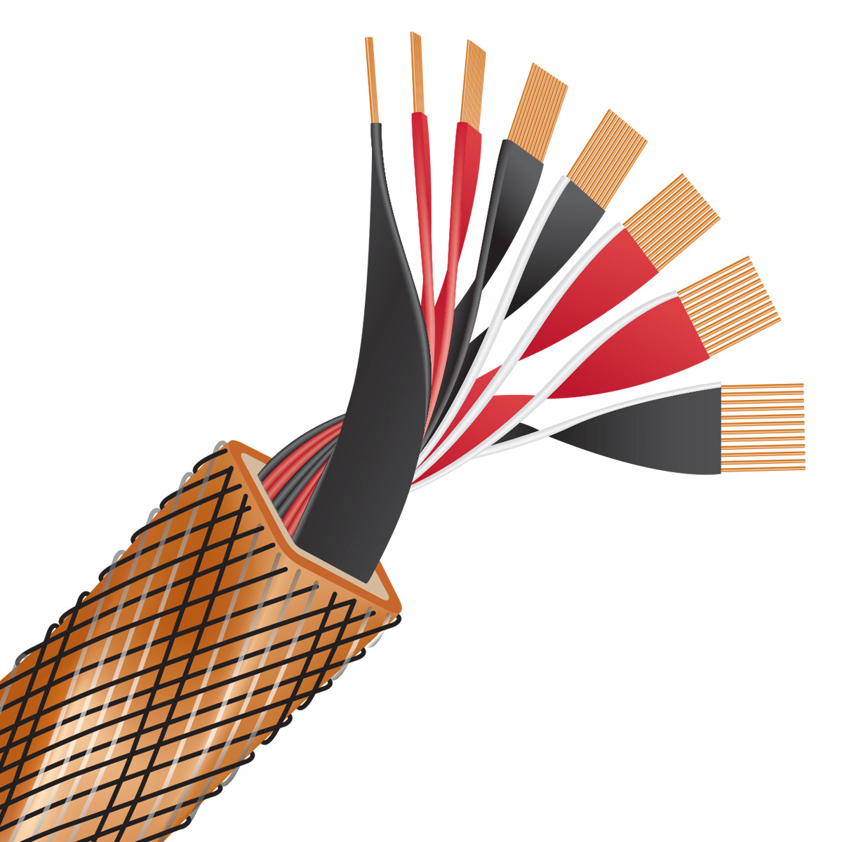 Auditorium Wireworld Cable Eclipse 10 Lautsprecherkabel 207623 - 5