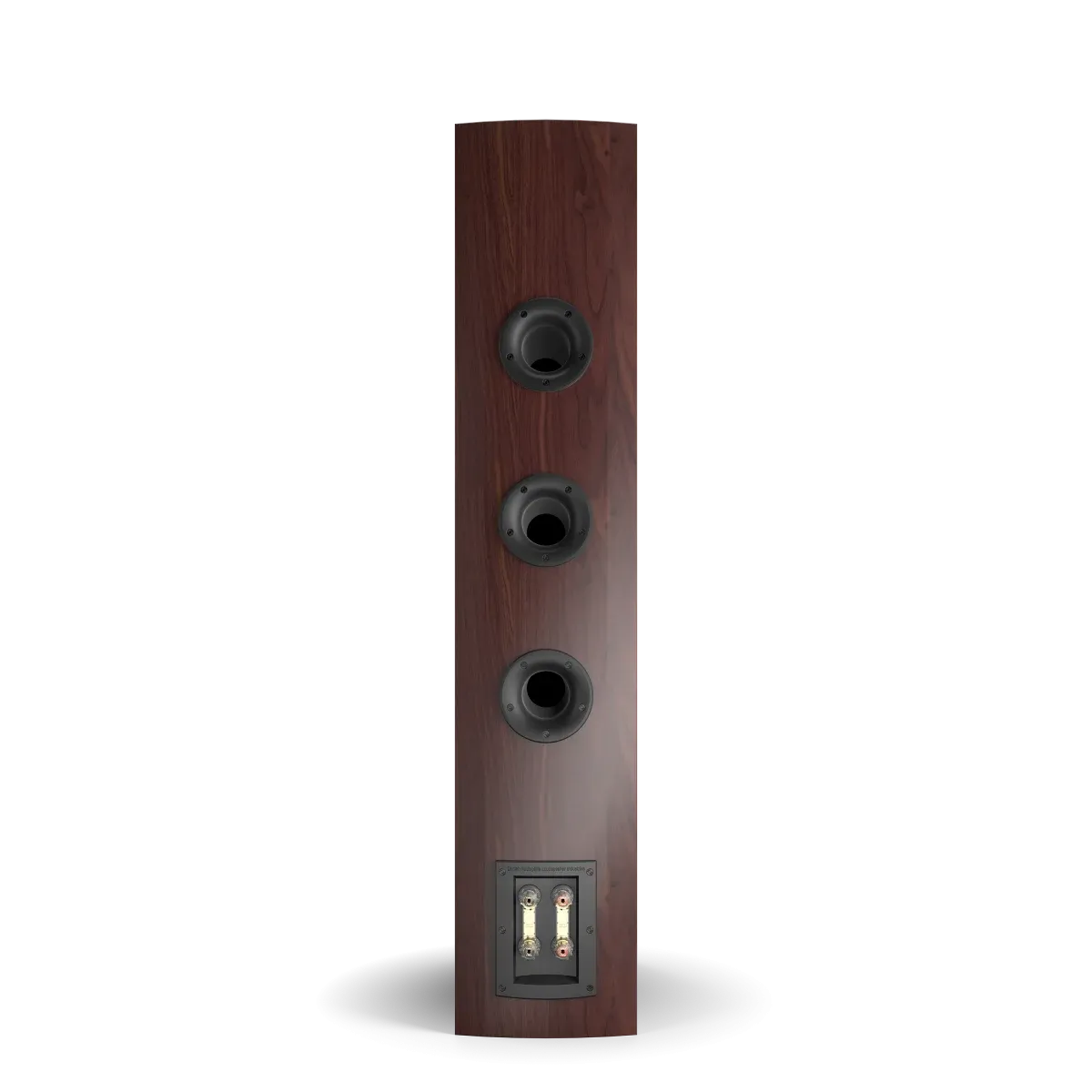 Auditorium Dali Rubicon 8 Standlautsprecher 202736 - 3