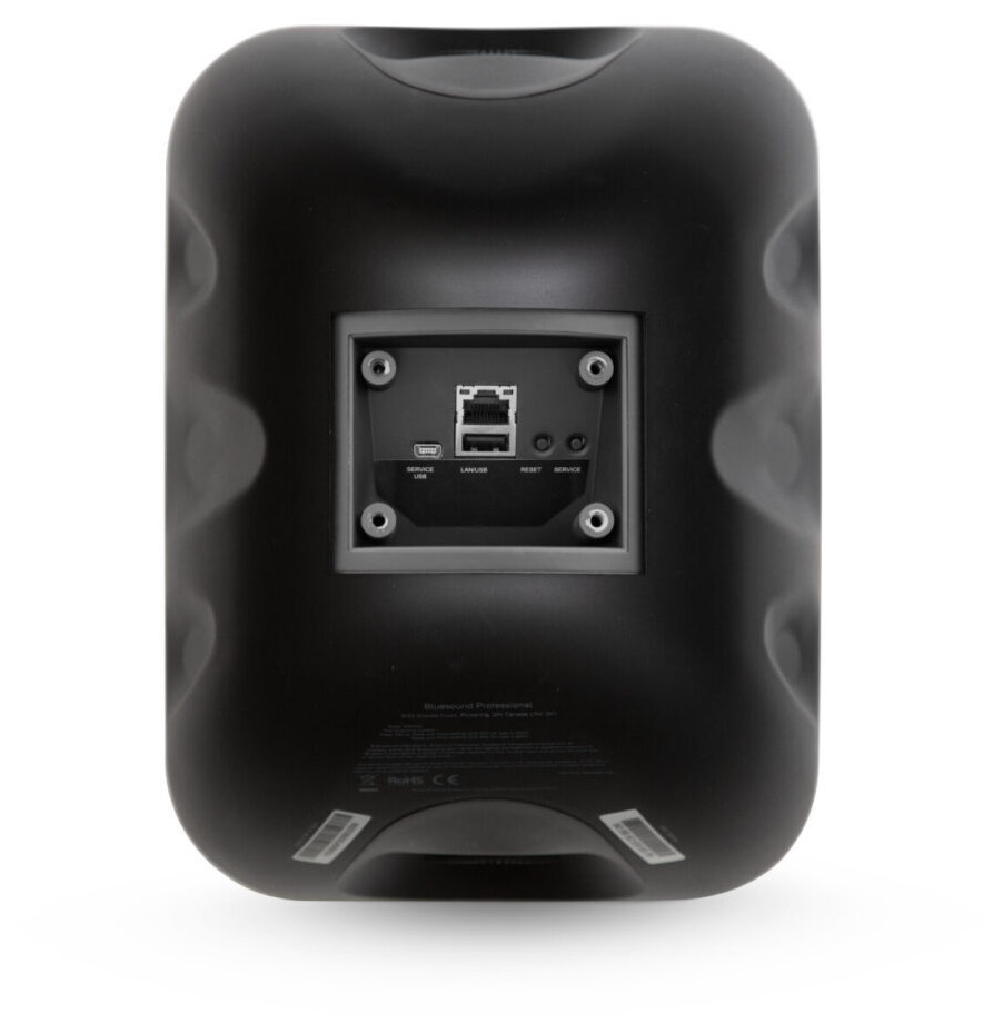 Auditorium Bluesound Professional BSP 1000 PoE Netzwerk Lautsprecher 298200 - 6