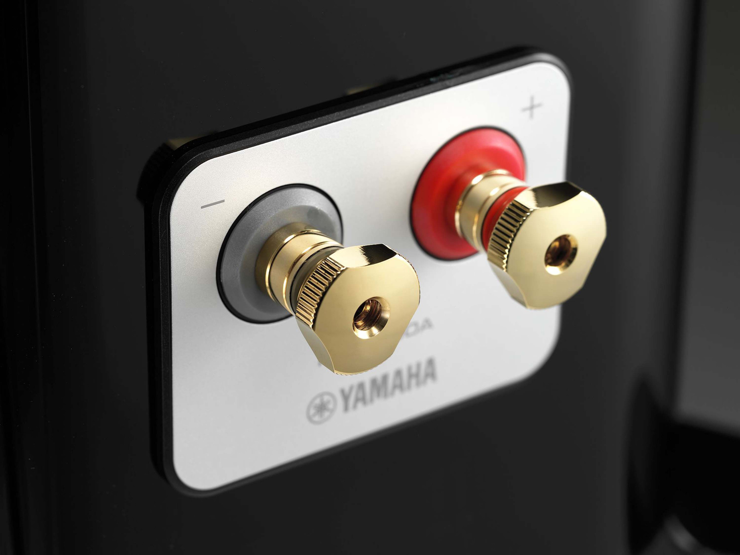 Auditorium Yamaha NS-2000A Standlautsprecher 295623 - 3