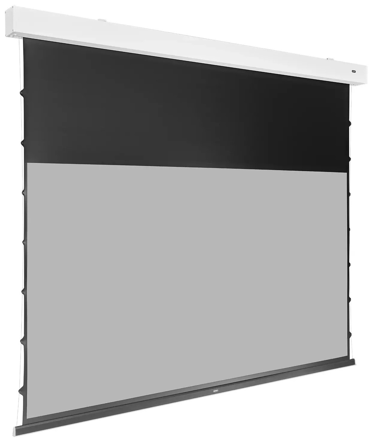 Auditorium Celexon GREYVISION Premium Plus Leinwand Motor Tension 217485 - 3