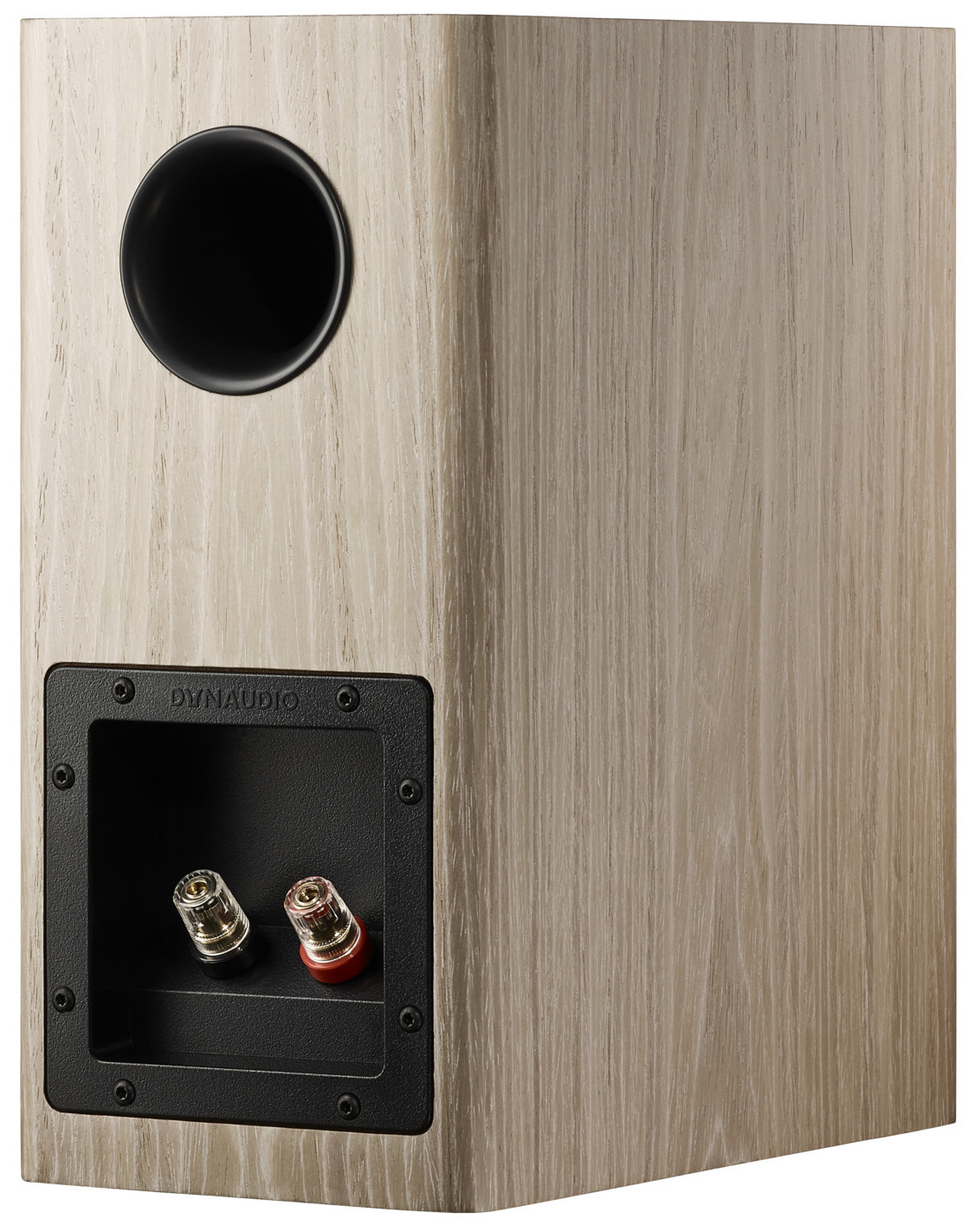 Auditorium Dynaudio Evoke 10  285454 - 5