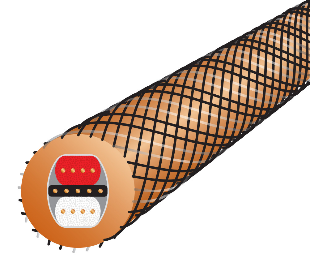 Auditorium Wireworld Cable Micro Eclipse 10 Phonokabel DIN - 2x RCA 208998 - 4