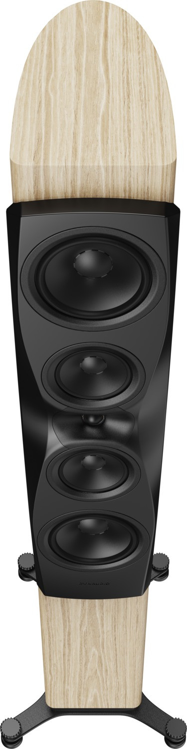 Auditorium Dynaudio Confidence 50i  218973 - 6