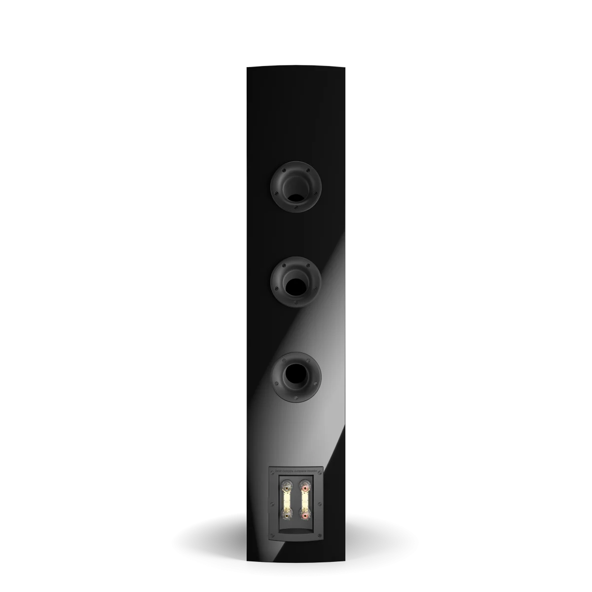 Auditorium Dali Rubicon 8 Standlautsprecher 270251 - 3