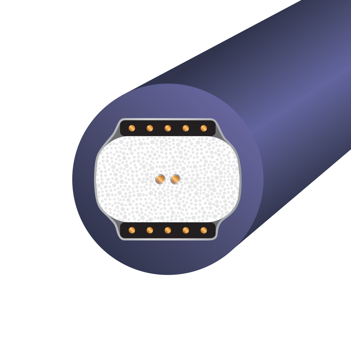 Auditorium Wireworld Cable Ultraviolet 10 Digital Audio RCA 75 Ohm 209052 - 3