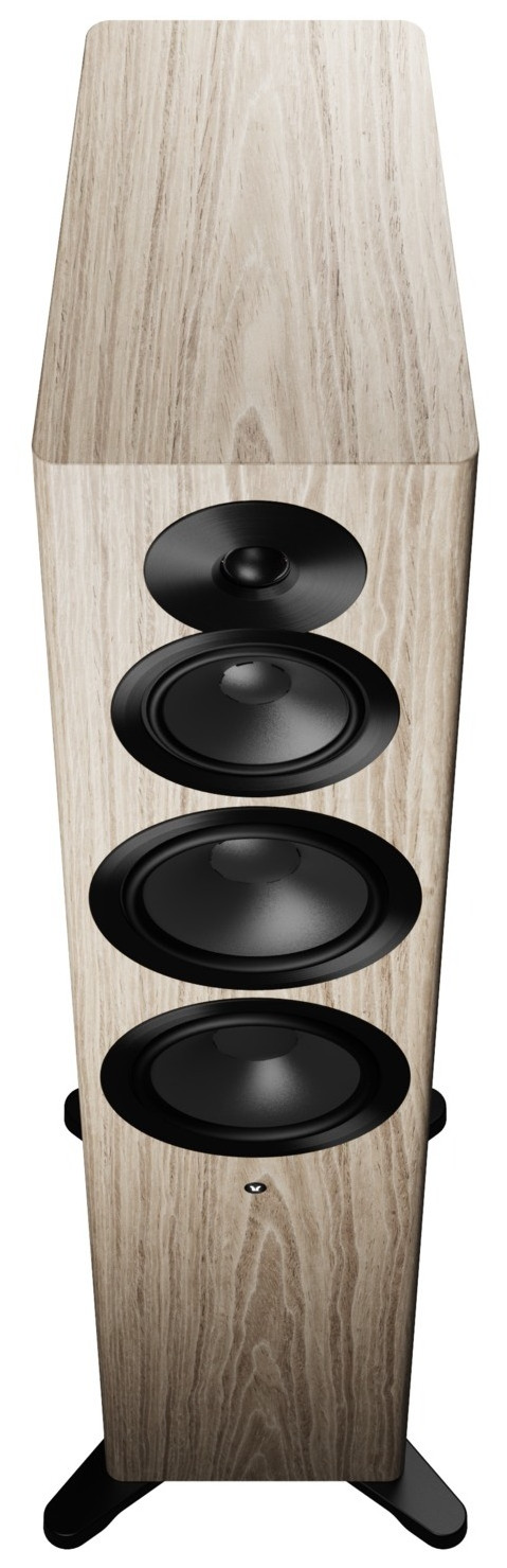 Auditorium Dynaudio FOCUS 50 aktiver Standlautsprecher 295545 - 3