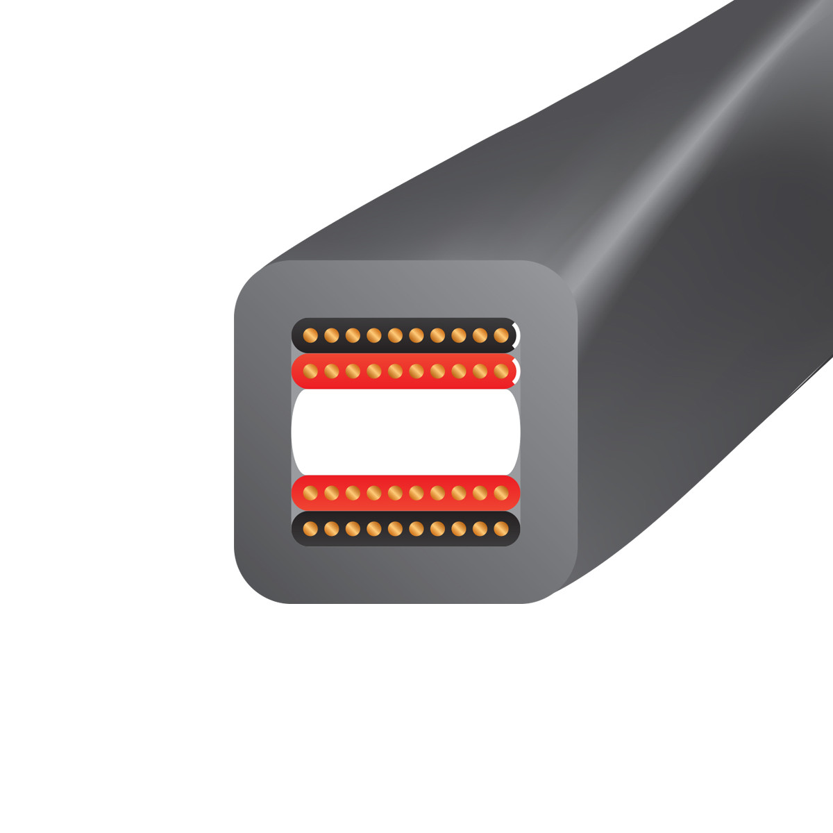 Auditorium Wireworld Cable Equinox 10 Lautsprecherkabel 207613 - 5