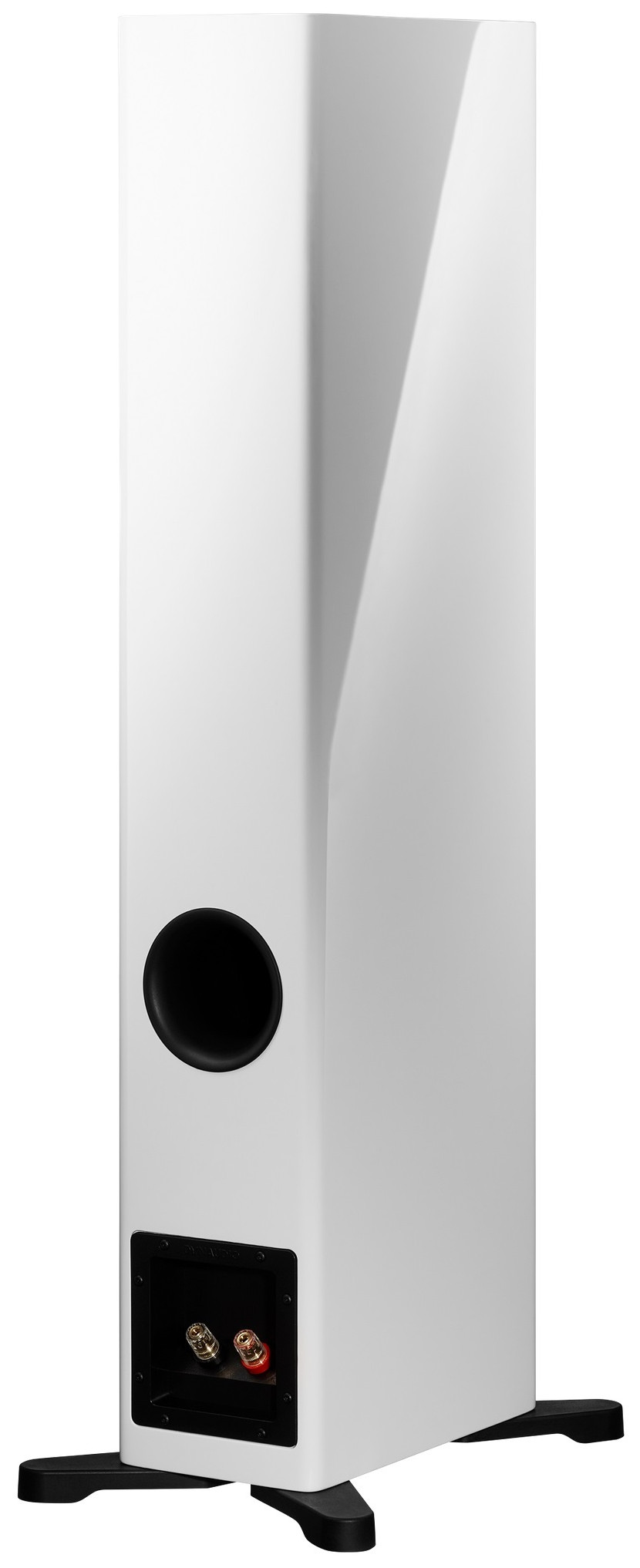 Auditorium Dynaudio Evoke 30  285459 - 5