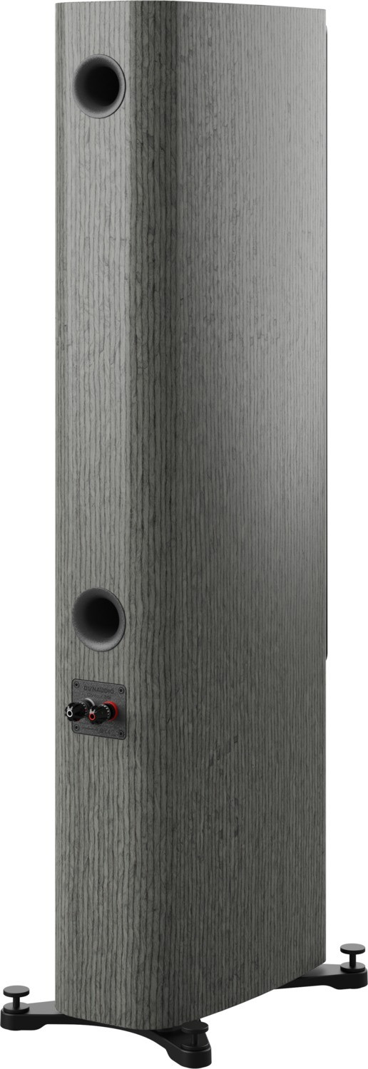 Auditorium Dynaudio Contour 30i Standlautsprecher  201809 - 6