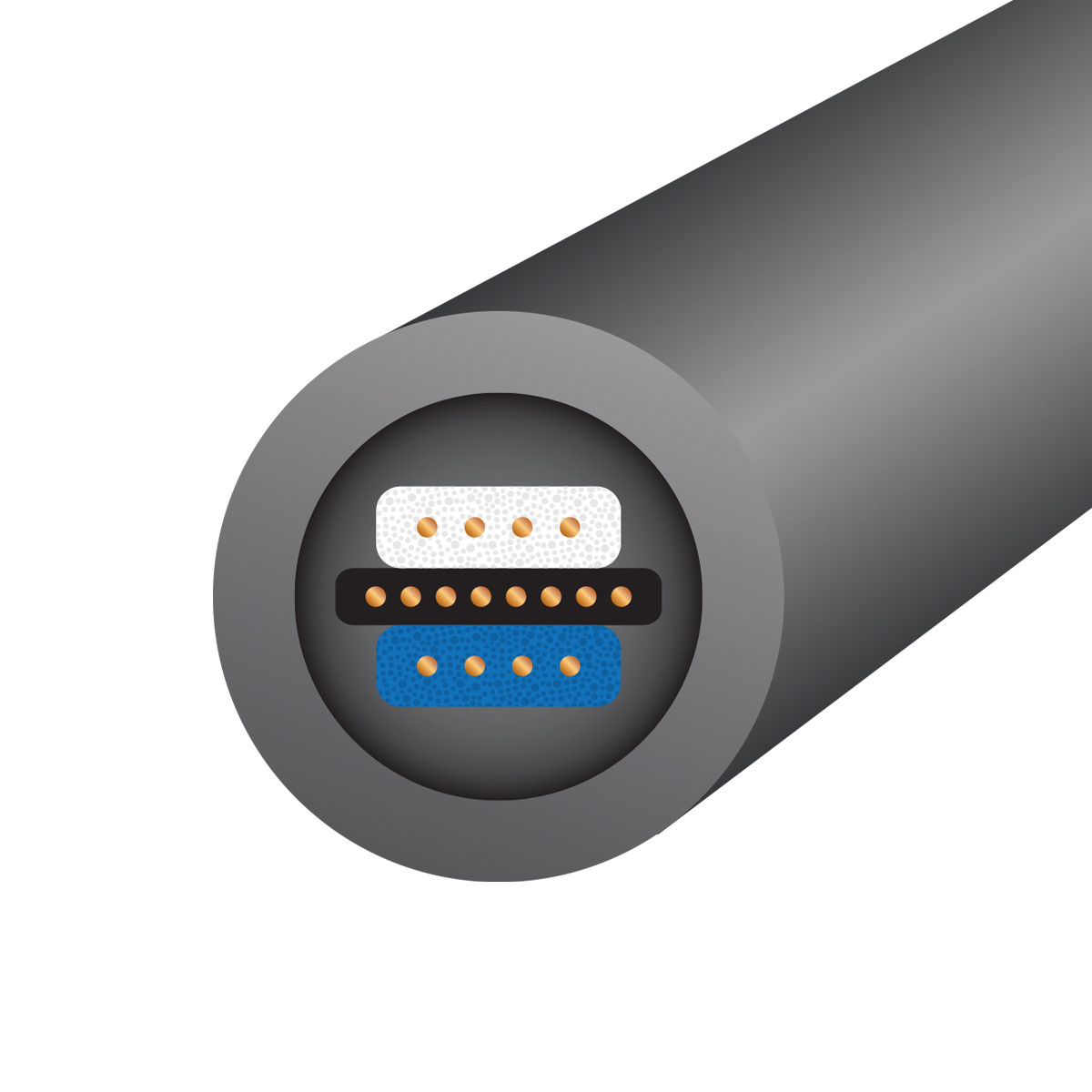 Auditorium Wireworld Cable Equinox 10 Interconnect XLR 208852 - 2