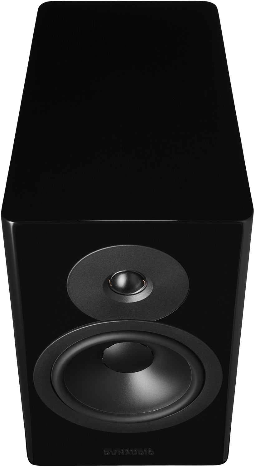Auditorium Dynaudio Evoke 20  285455 - 4