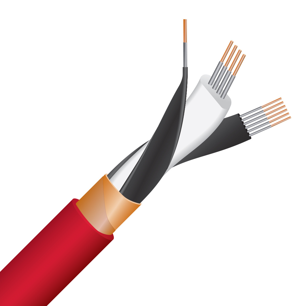 Auditorium Wireworld Cable Starlight 10 Digital Audio BNC 75 Ohm 209065 - 3