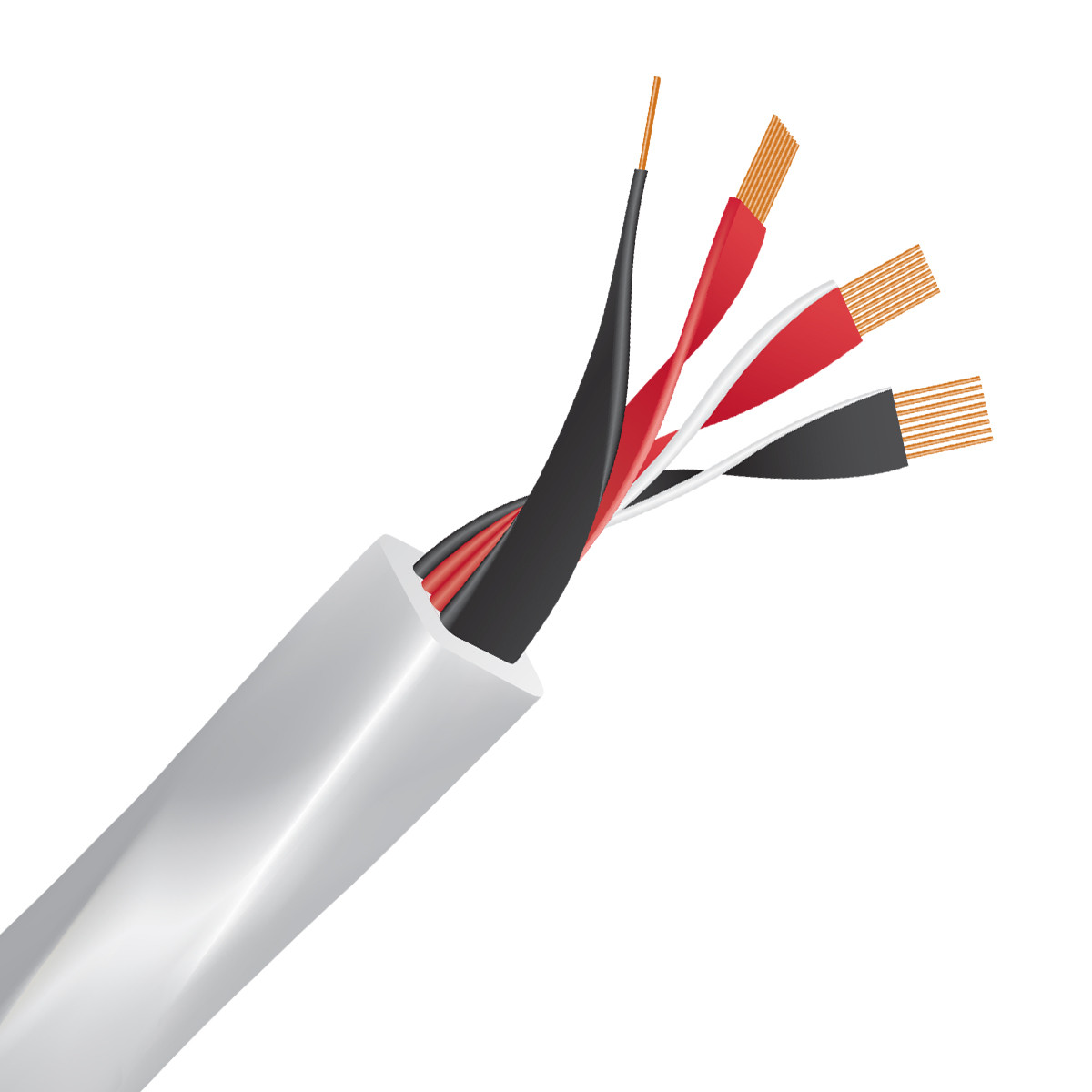 Auditorium Wireworld Cable Solstice 10 Lautsprecherkabel 207601 - 5