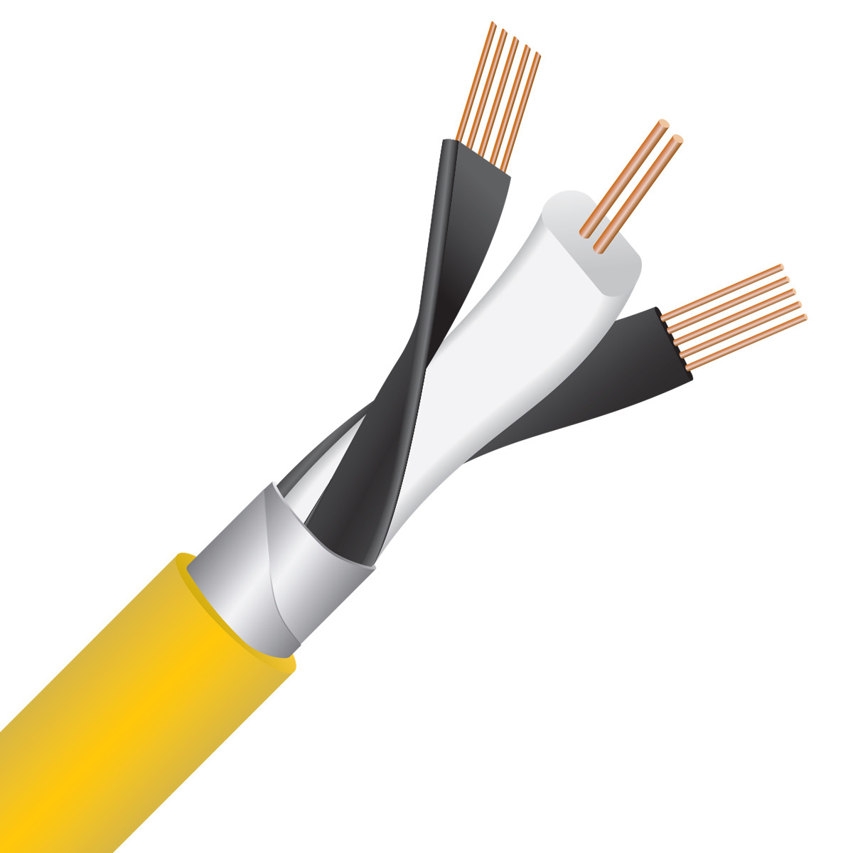 Auditorium Wireworld Cable Chroma 10 Digital Audio RCA 75 Ohm 209046 - 3