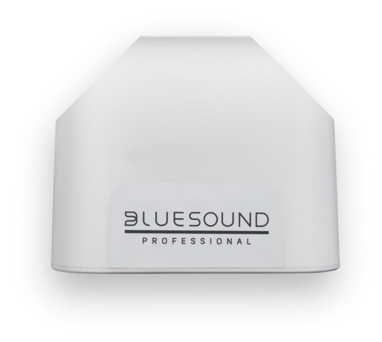 Auditorium Bluesound Professional BSP 200 PoE Netzwerk Lautsprecher 298205 - 2
