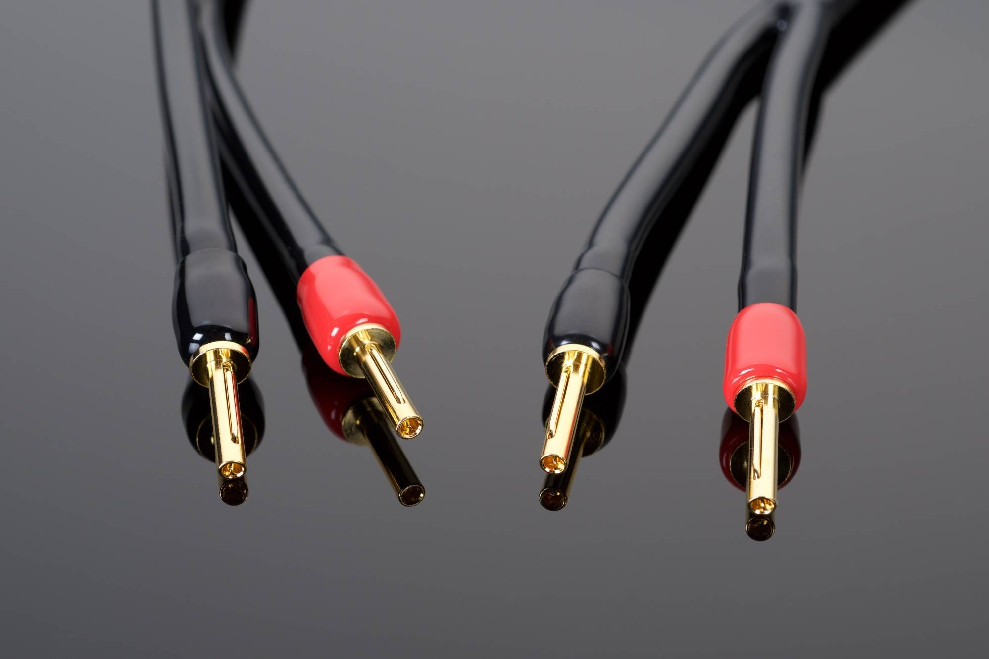 Auditorium Transparent Cable Wave Lautsprecherkabel Single Wire 280835 - 1