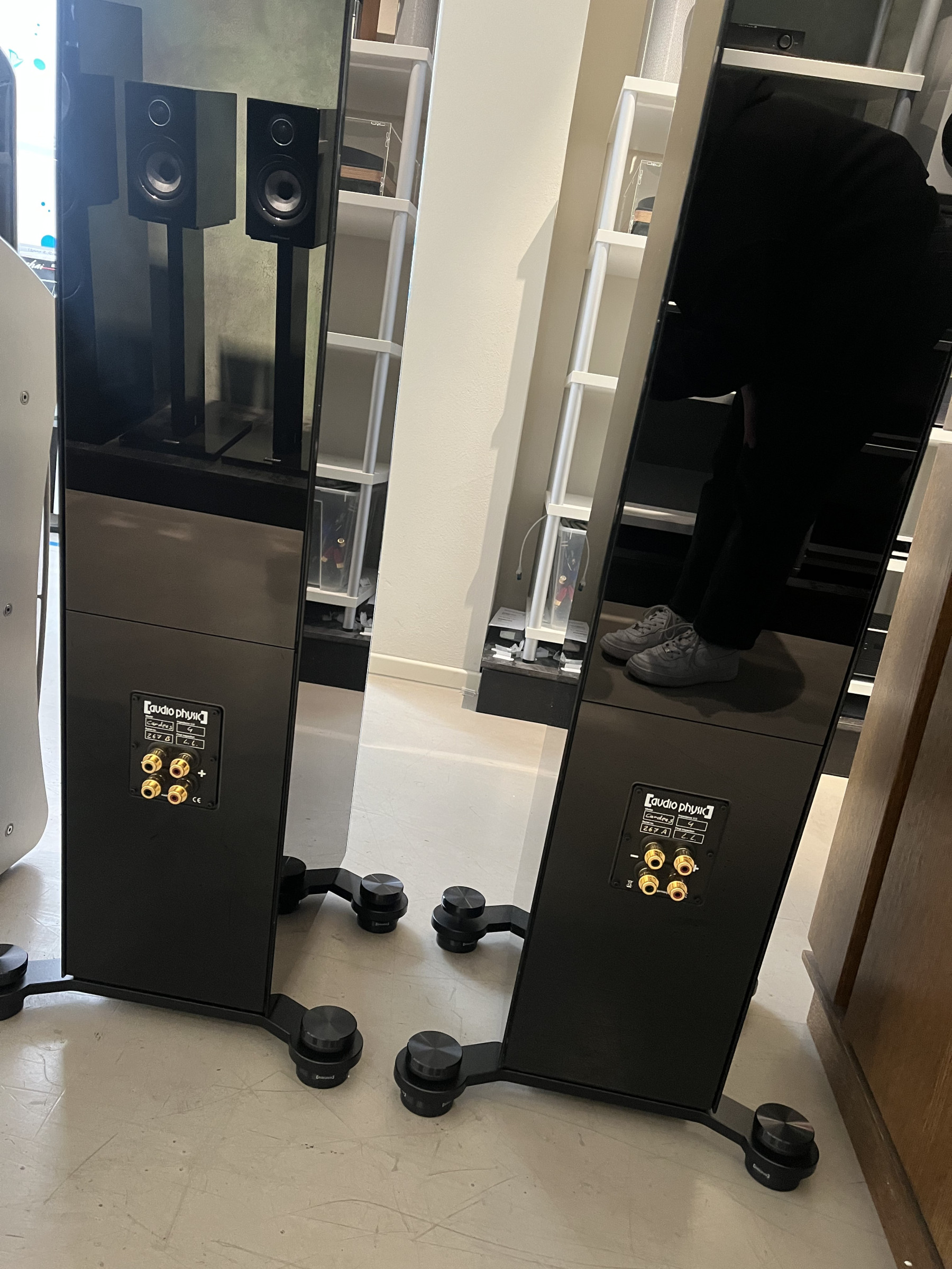 Auditorium audio physic Cardeas V Powertrain Bi-Wire  215350 - 2