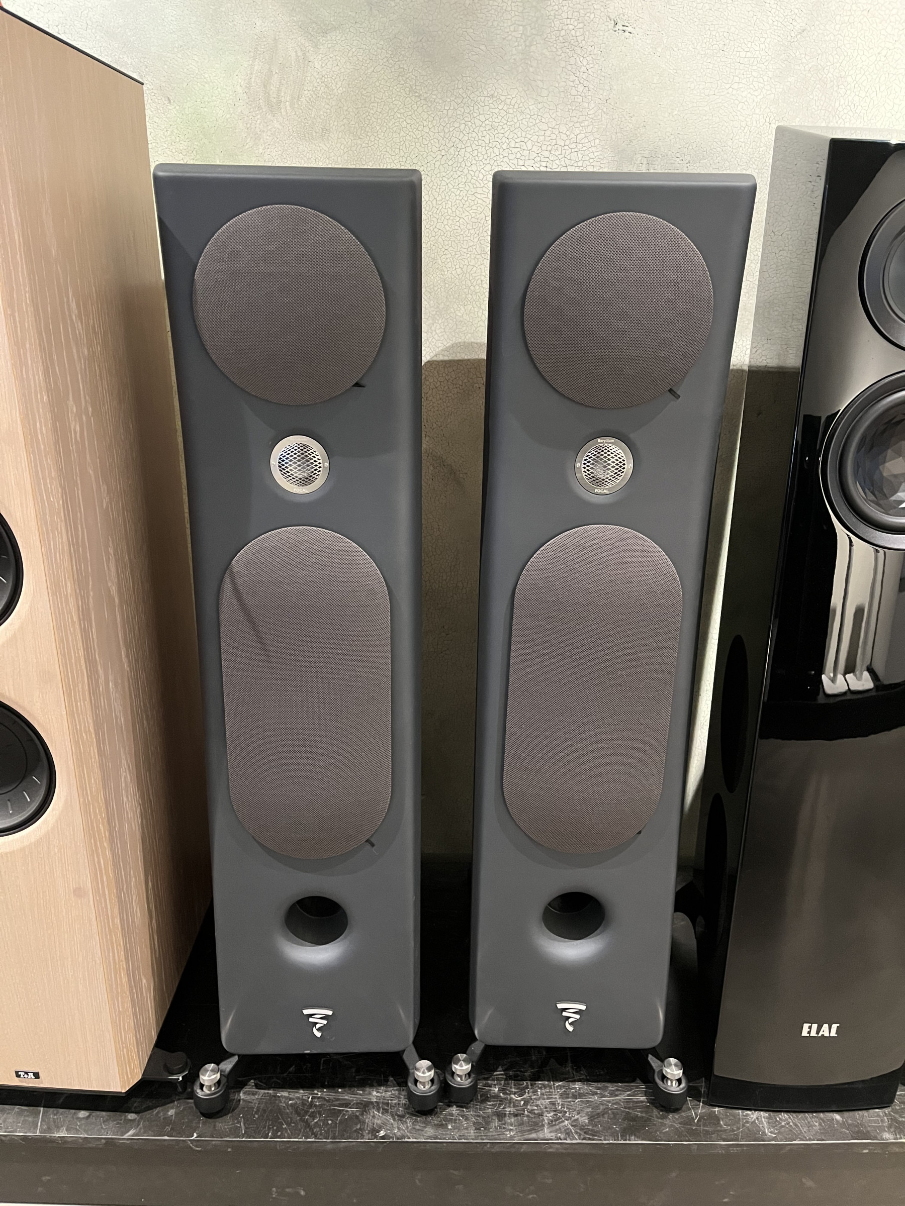 Auditorium Focal Kanta No. 2 Walnut Grey  214497 - 1