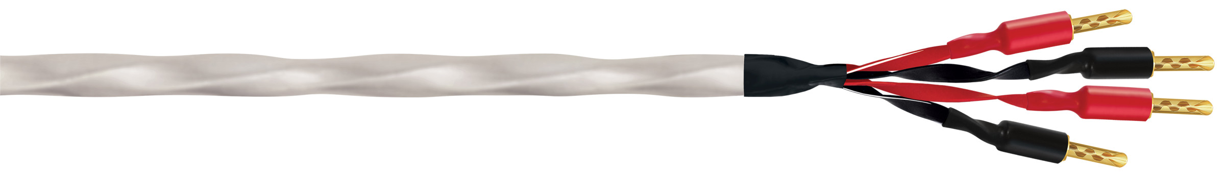 Auditorium Wireworld Cable Solstice 10 Lautsprecherkabel 207602 - 2