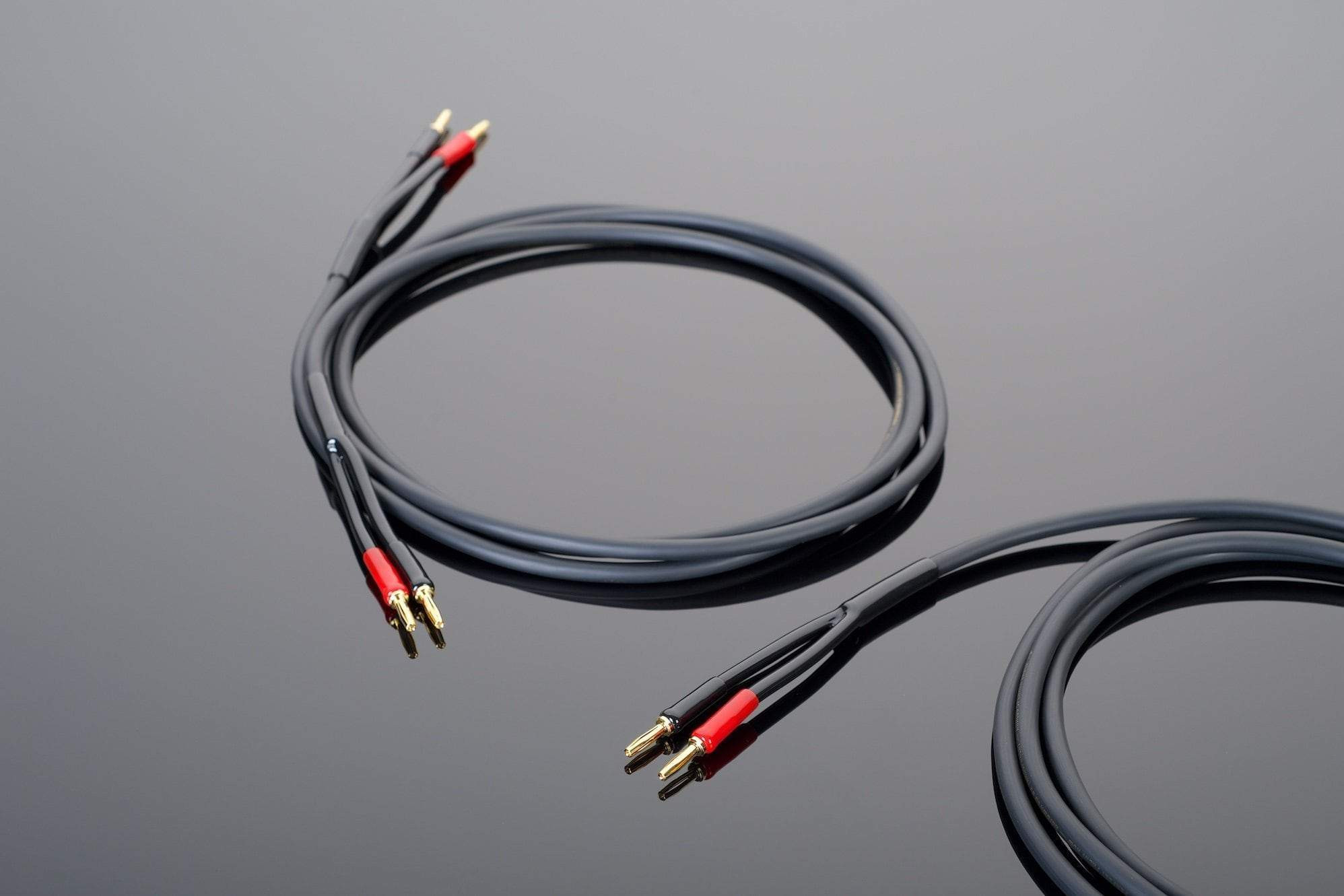 Auditorium Transparent Cable Hardwired Lautsprecherkabel Single Wire Banana > Banana 286687 - 1