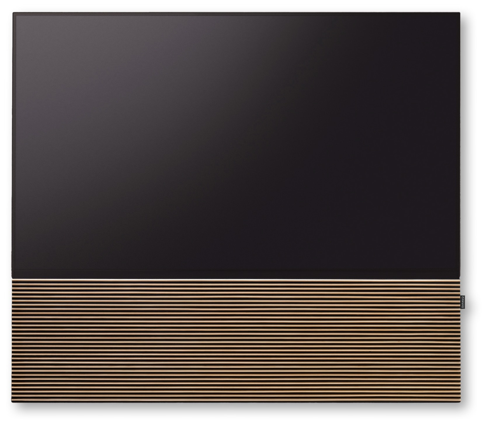 Auditorium Canvas Extra Front 65 Zoll + Converter Bracket 207154 - 1