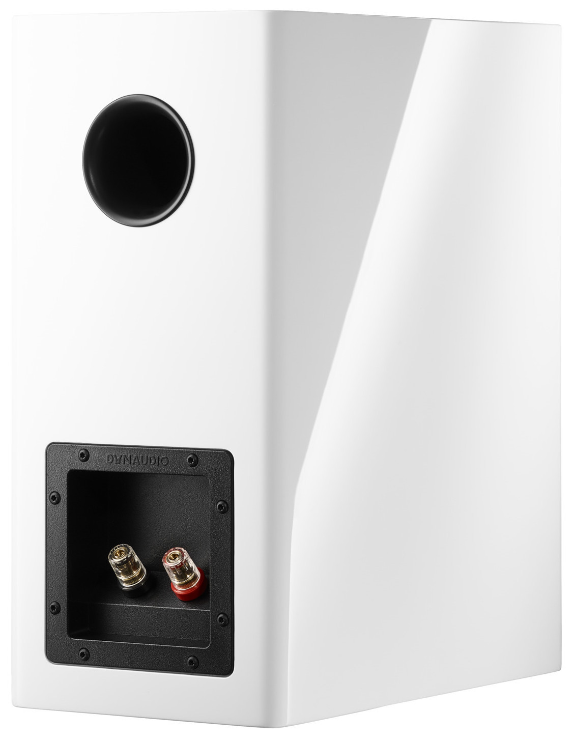 Auditorium Dynaudio Evoke 20  285456 - 5