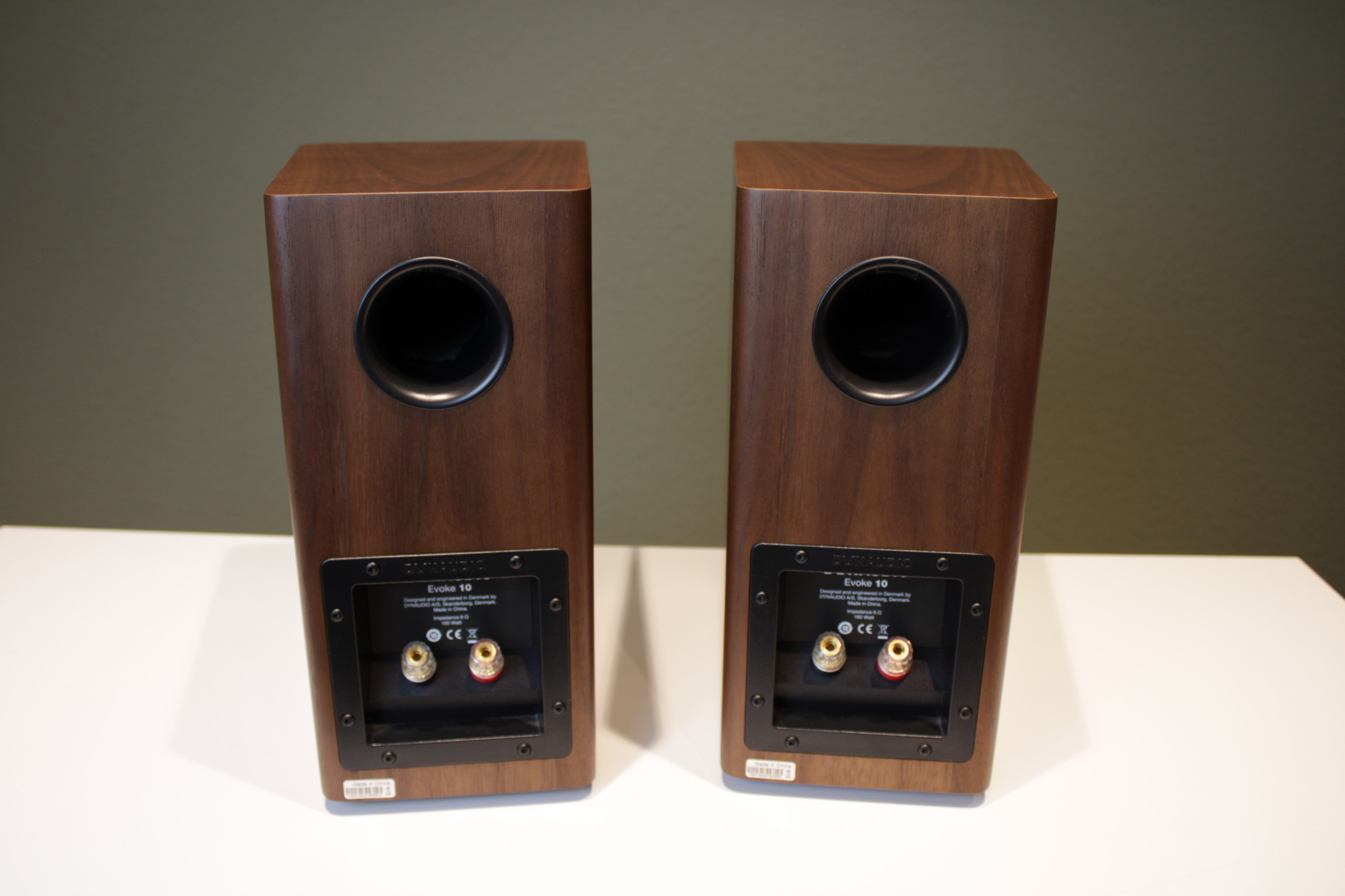 Auditorium Dynaudio Evoke 10  211821 - 10