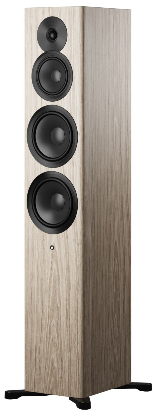 Auditorium Dynaudio FOCUS 50 aktiver Standlautsprecher 295545 - 5