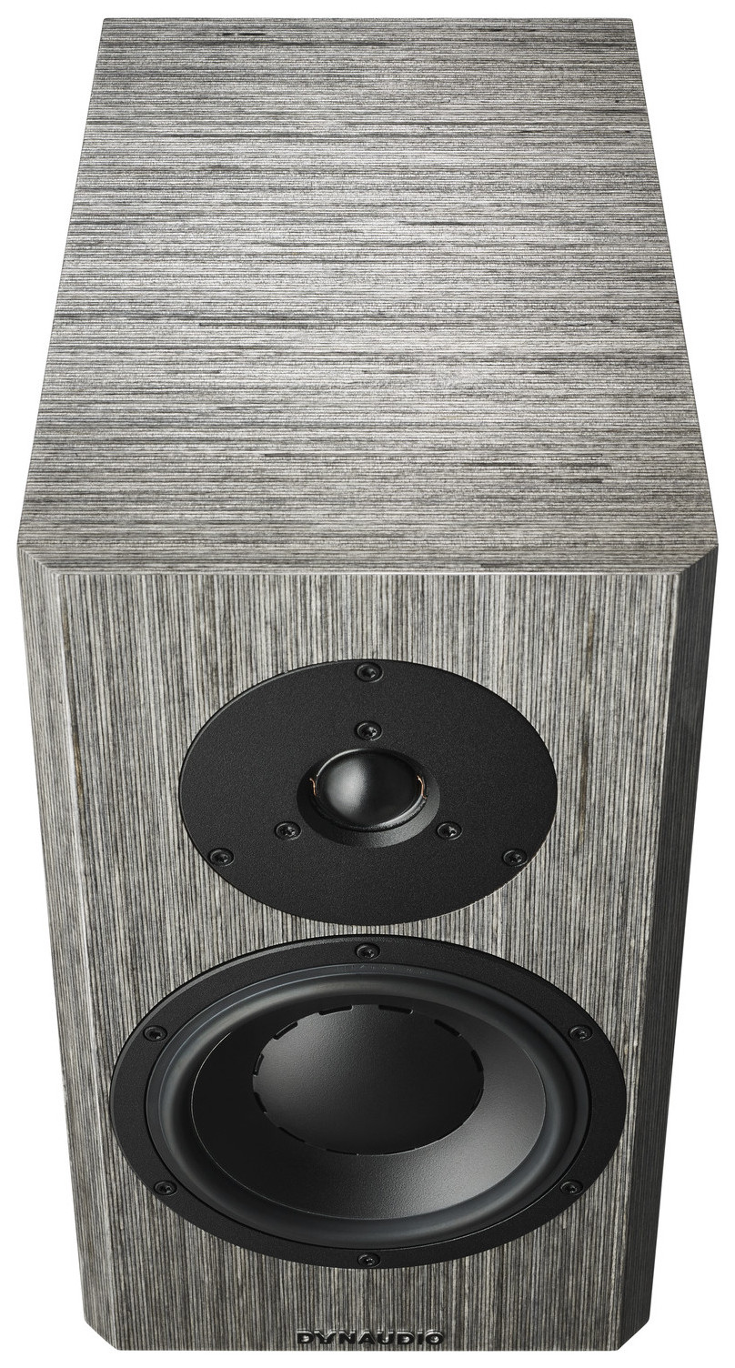 Auditorium Dynaudio Special Forty  283185 - 2