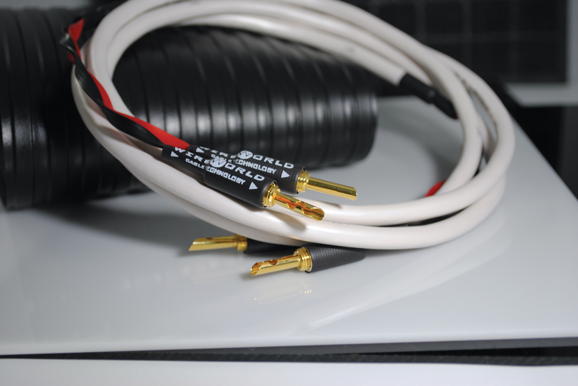 Auditorium Wireworld Cable Stream 10 Lautsprecherkabel 207597 - 2