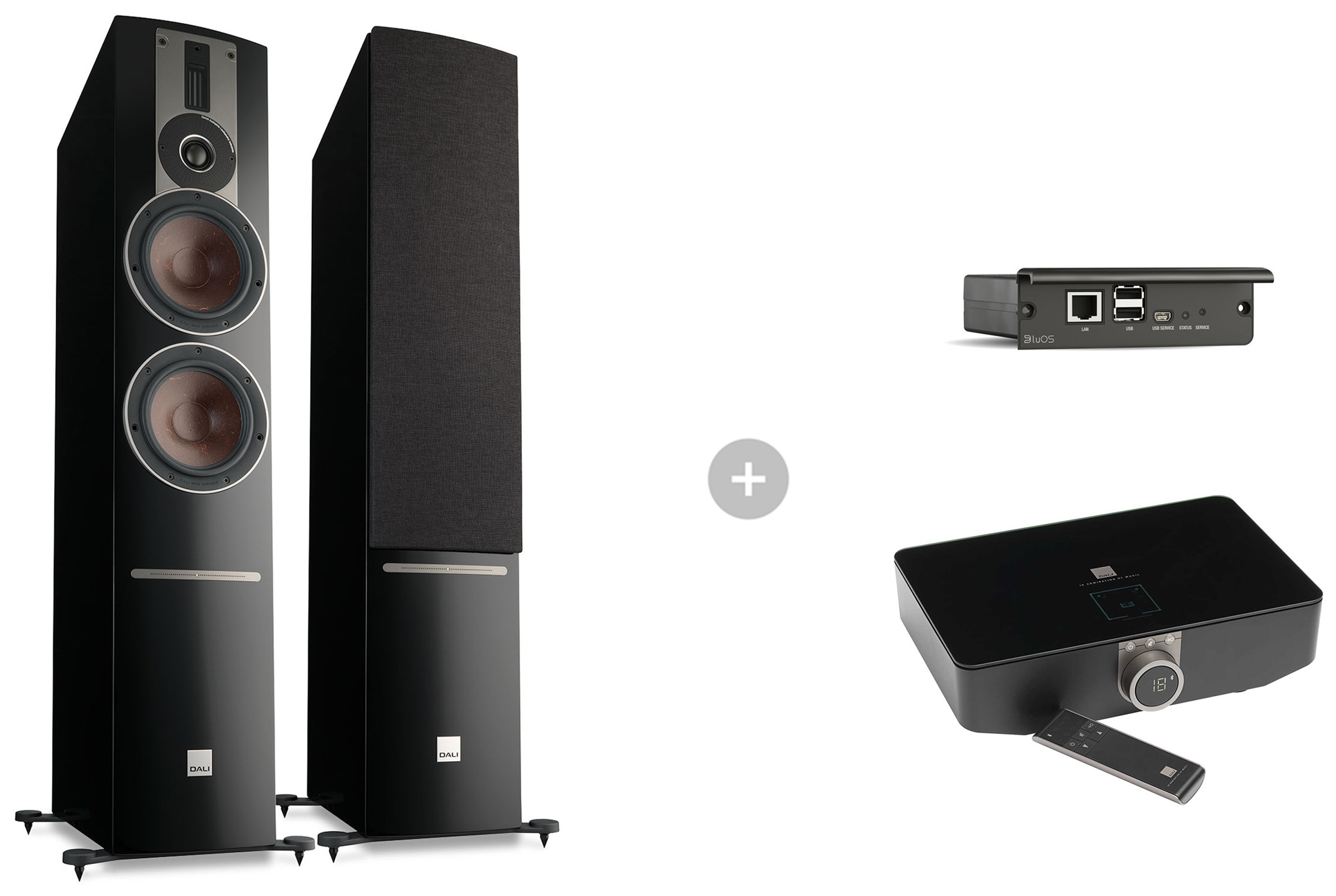 Auditorium Dali Rubicon 6C Standlautsprecher + BluOS SOUND HUB + 2i Modul 214287 - 1