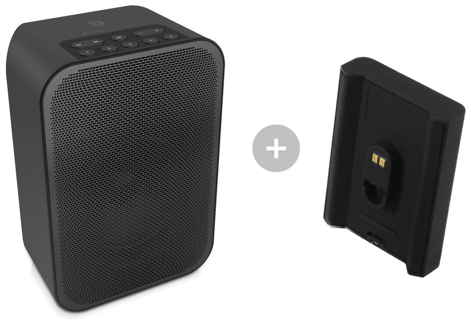 Auditorium BlueSound Pulse Flex 2i und BP100 Streaming-Bundle 295211 - 1