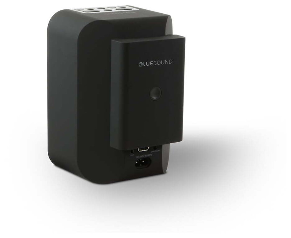 Auditorium BlueSound Pulse Flex 2i und BP100 Streaming-Bundle 295211 - 2