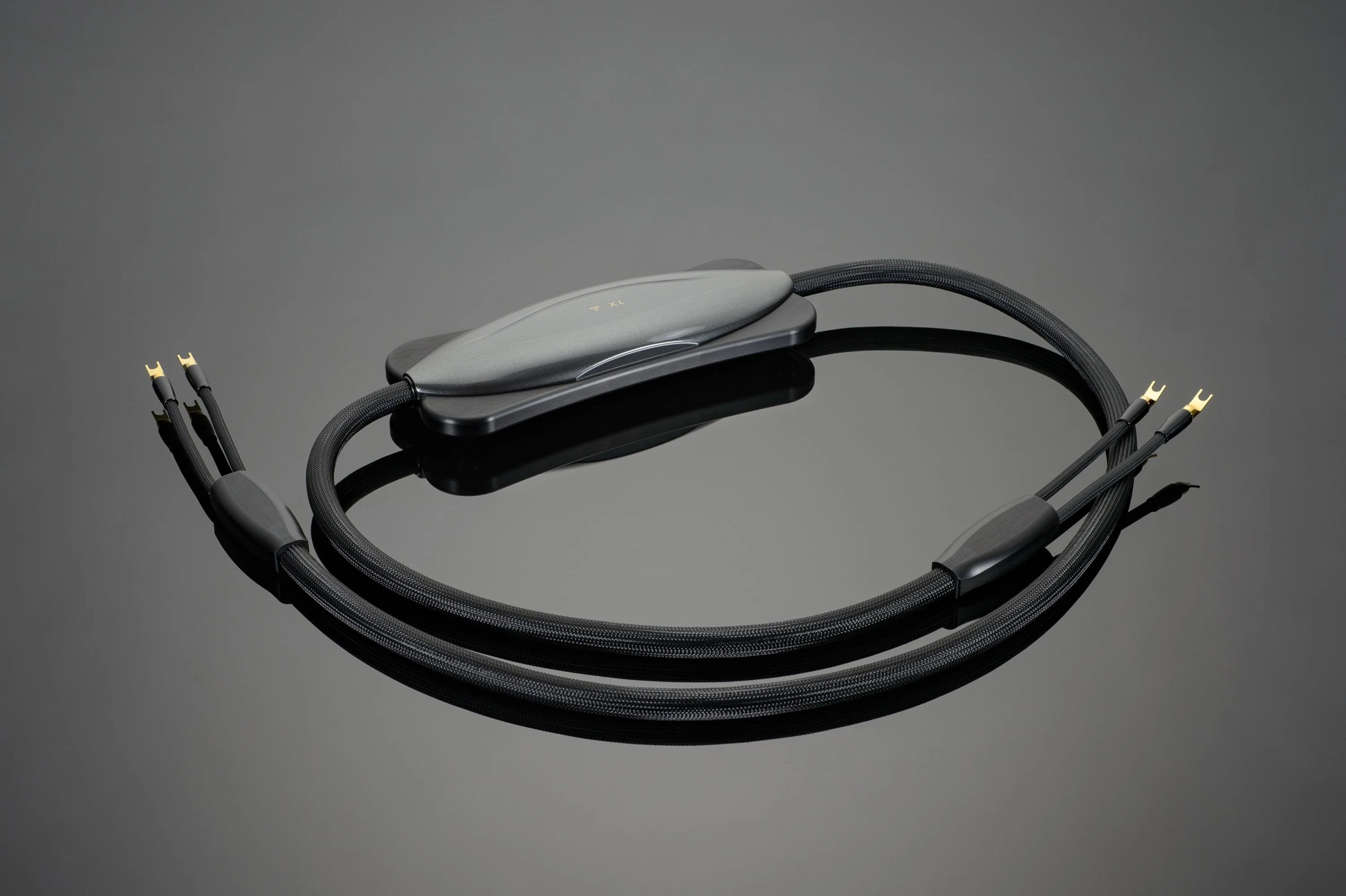 Auditorium Transparent Cable XL Lautsprecherkabel Biwire 213052 - 1