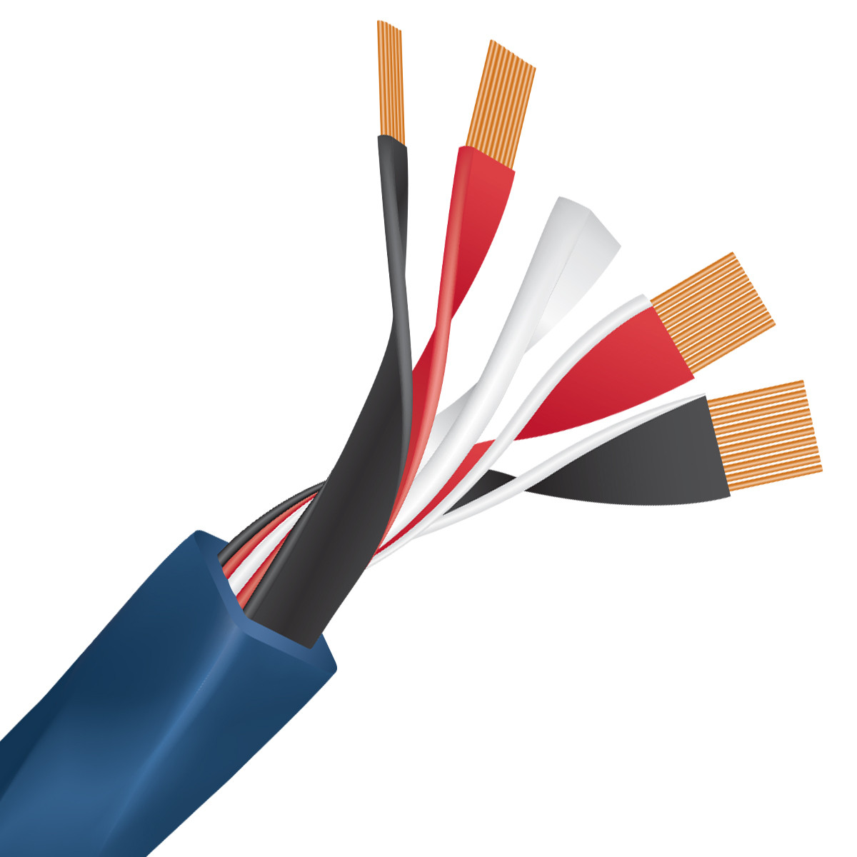 Auditorium Wireworld Cable Oasis 10 Lautsprecherkabel 207610 - 5