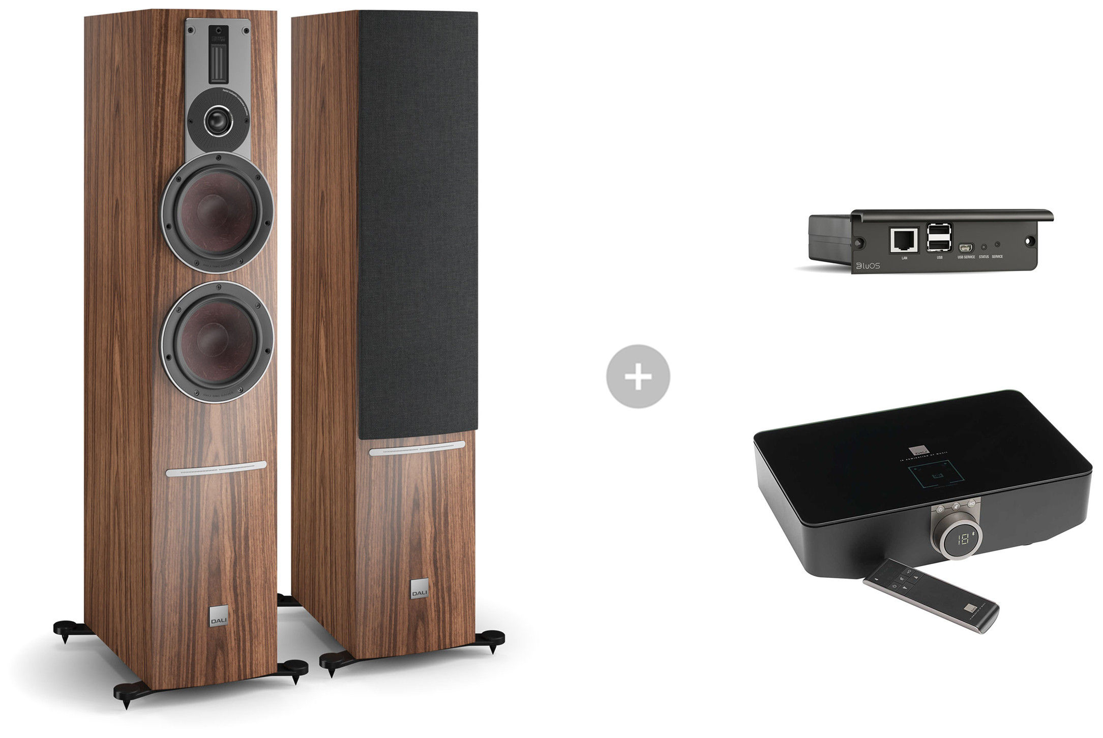 Auditorium Dali Rubicon 6C Standlautsprecher + BluOS SOUND HUB + 2i Modul 214289 - 1