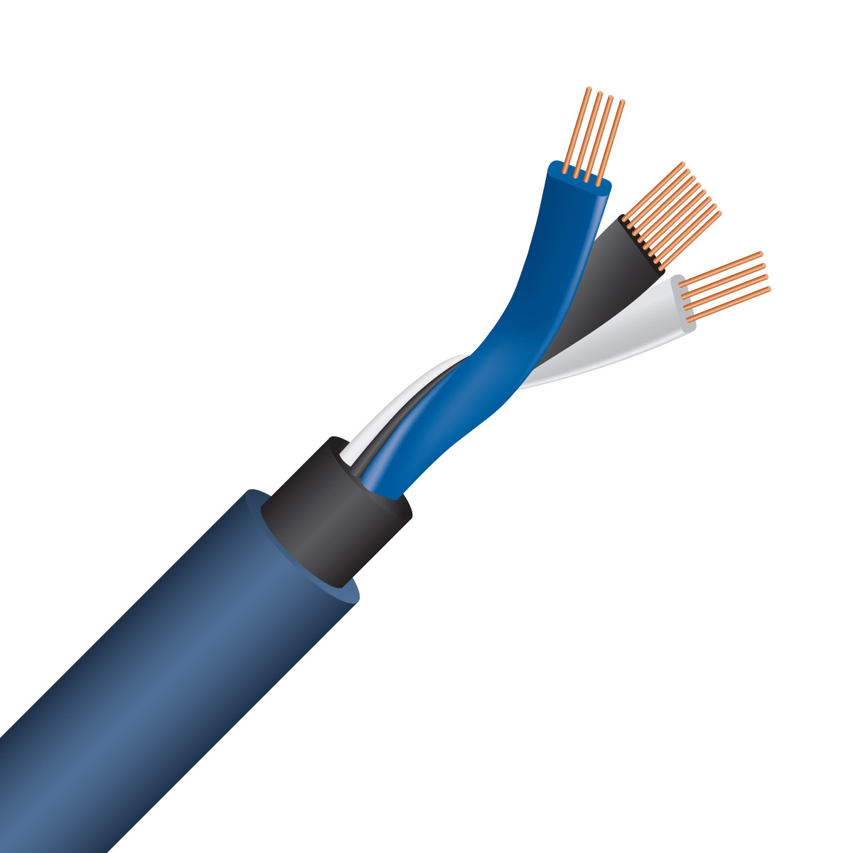 Auditorium Wireworld Cable Oasis 10 Interconnect RCA 208837 - 4