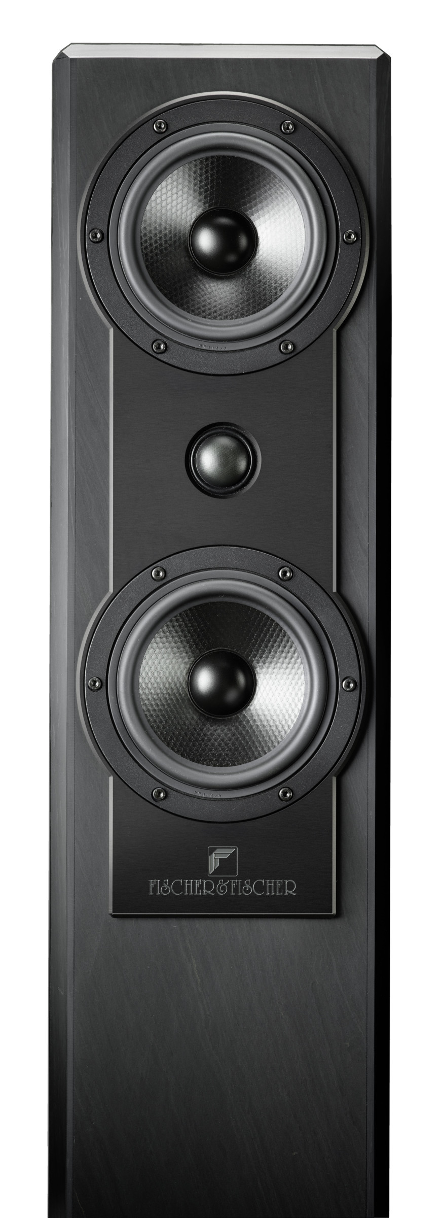 Auditorium Fischer & Fischer SN 170 Naturschiefer 2-Wege Passivlautsprecher 270714 - 1