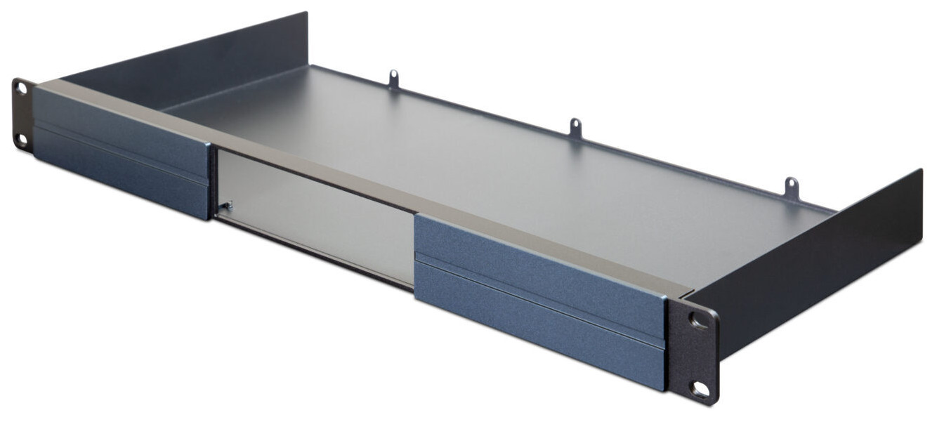 Auditorium Bluesound Professional RM 100 Rackmount für B100 S Netzwerk Player 298212 - 3