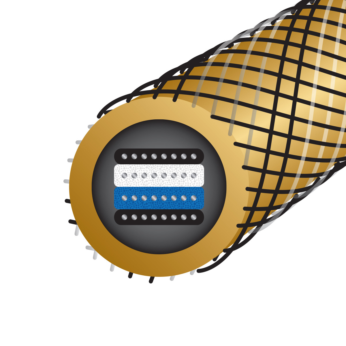 Auditorium Wireworld Cable Gold Eclipse 10 Interconnect RCA 208874 - 3