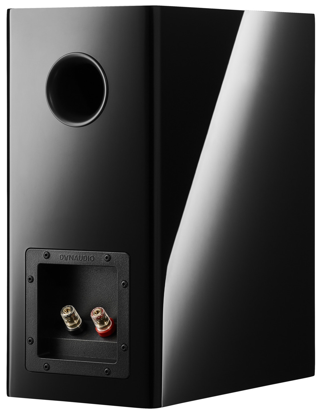 Auditorium Dynaudio Evoke 20  285455 - 5