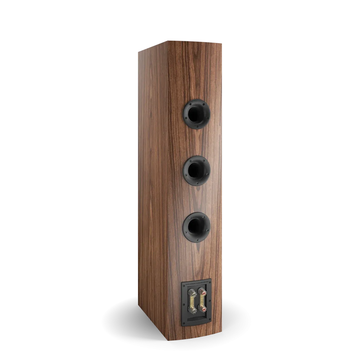 Auditorium Dali Rubicon 8 Standlautsprecher 270243 - 4